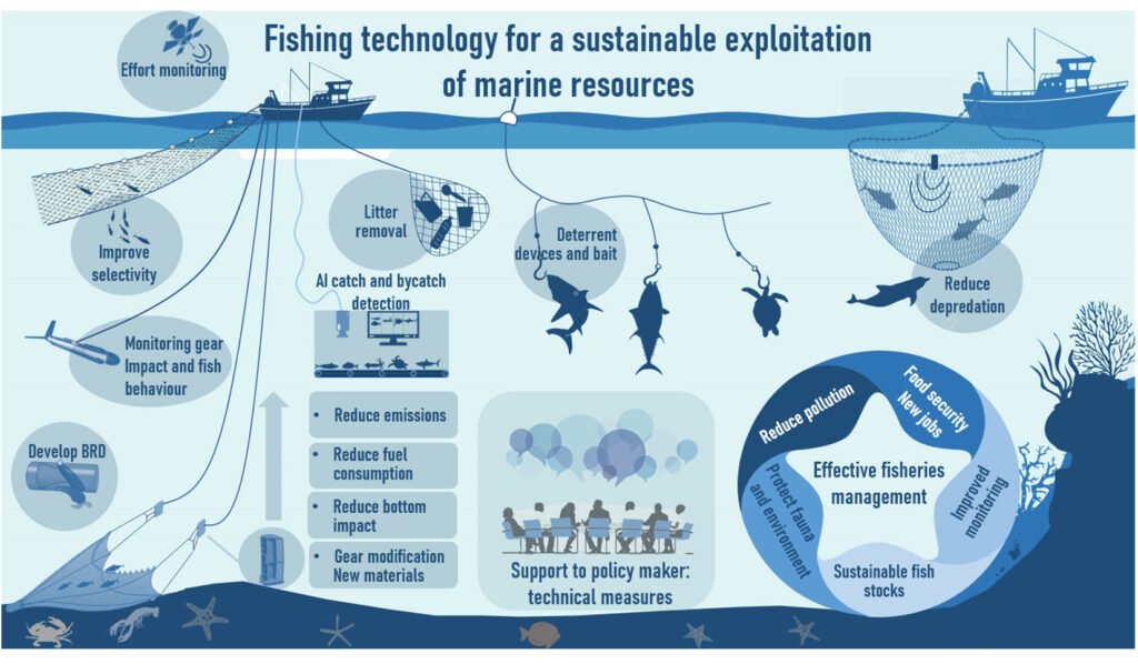 World Fisheries Day 2024