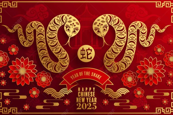 2025 - Year of the Snake