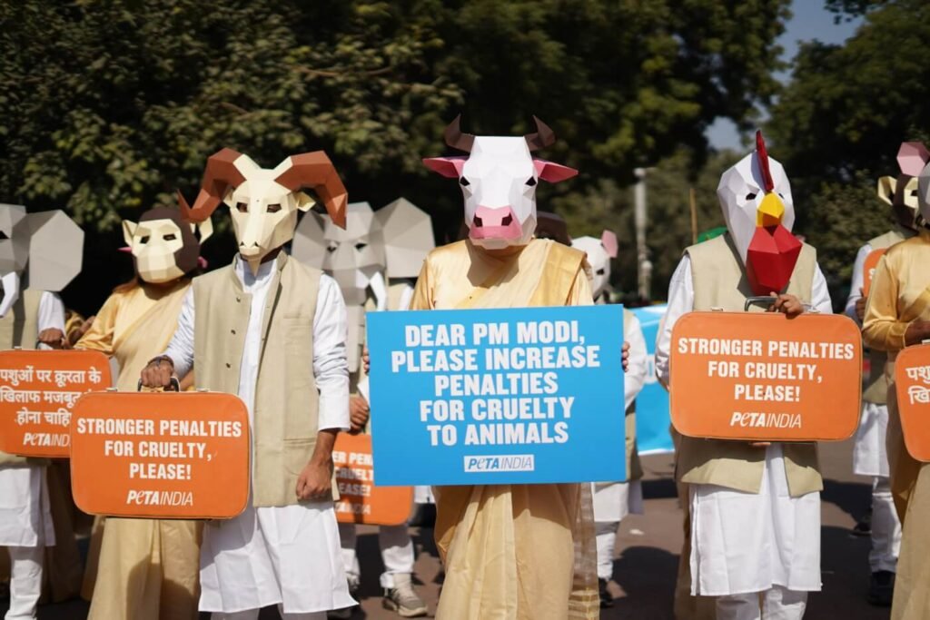 animal welfare campaigns in India