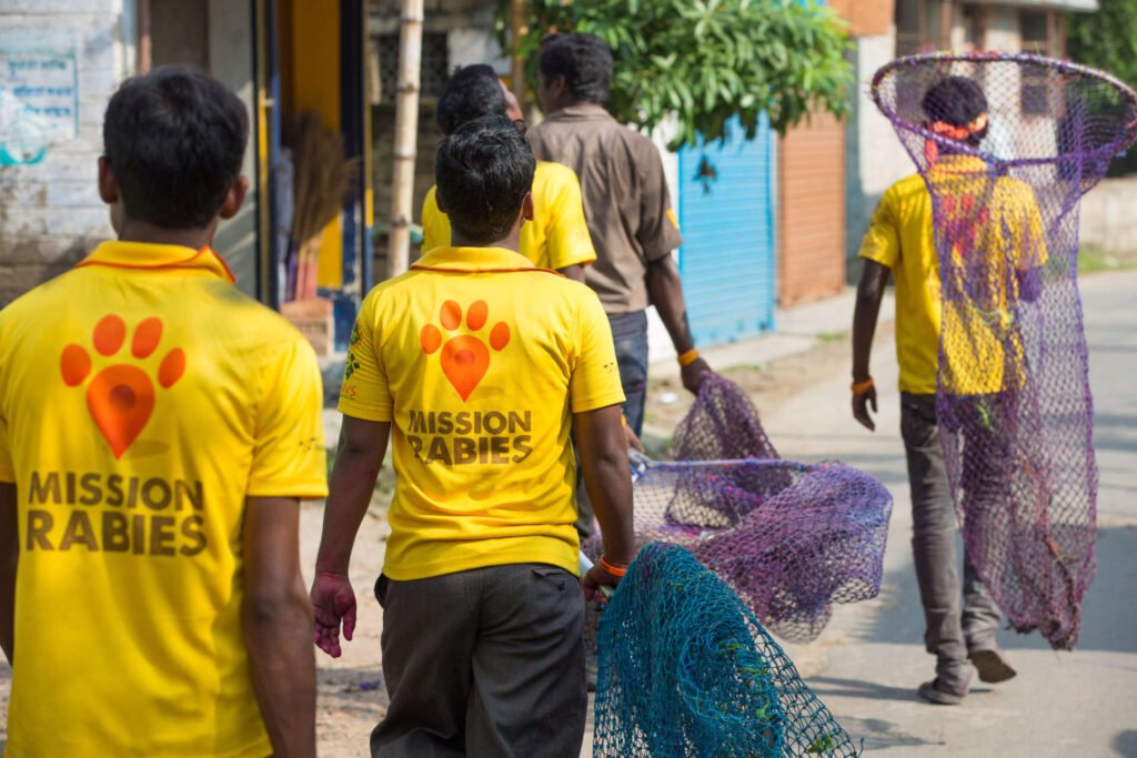 animal welfare campaigns in India
